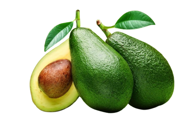 افوكادو كشف لبناني طيارة 750 جم